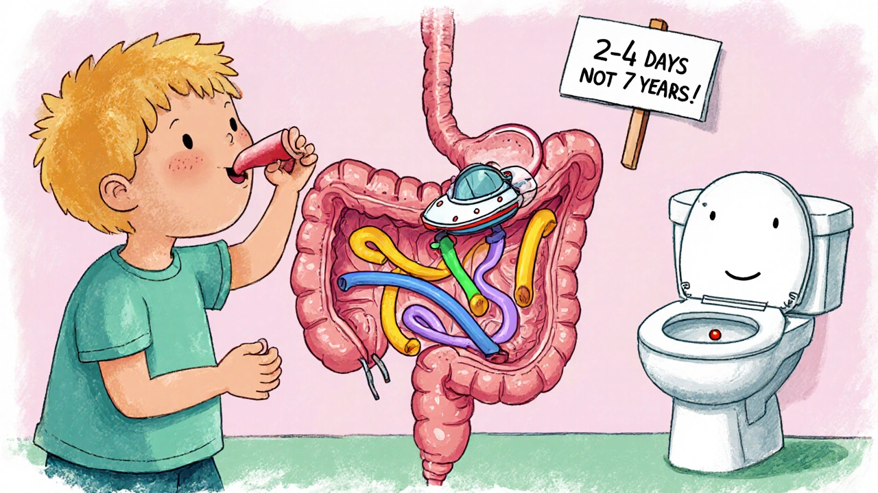 Enfant avalant du chewing-gum qui traverse un système digestif ludique, éliminé en deux jours.